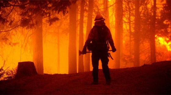 كاليفورنيا جحيما برتقاليا: النيران تلتهم مساحات قياسية ولا تزال مشتعلة صورة رقم 29