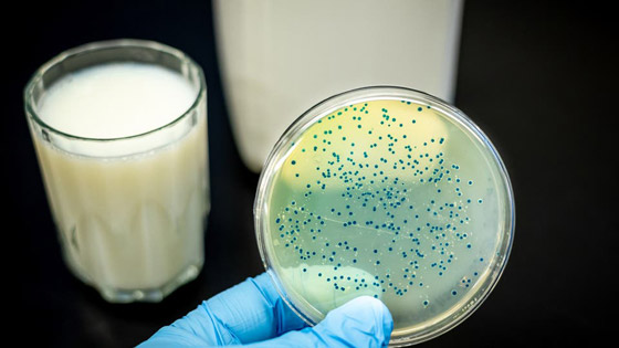 بكتيريا جديدة تجتاح الصين وتفزع العالم.. آلاف الإصابات صورة رقم 1