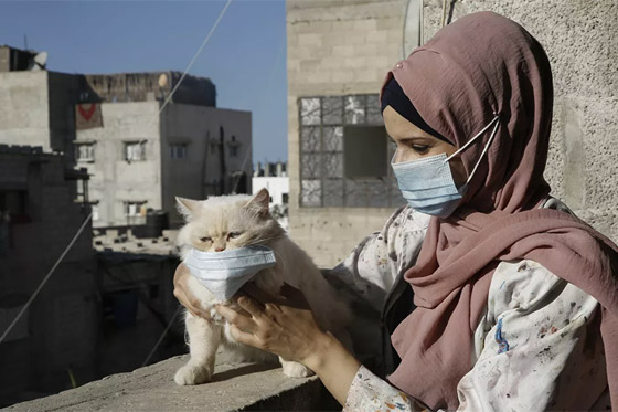 أبرز صور الأسبوع: إليكم أهم الأحداث المصورة من مختلف زوايا العالم صورة رقم 13