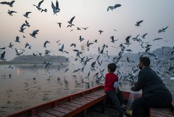 أبرز صور الأسبوع: إليكم أهم الأحداث المصورة من زوايا العالم المختلفة صورة رقم 5