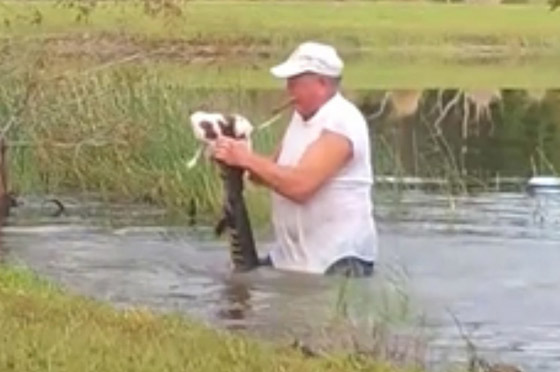 رجل أمريكي يصارع تمساحا ويجبره على فتح فكيه لإنقاذ كلبه! فيديو صورة رقم 1
