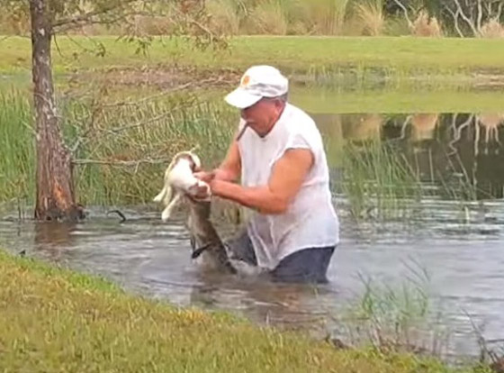 رجل أمريكي يصارع تمساحا ويجبره على فتح فكيه لإنقاذ كلبه! فيديو صورة رقم 7