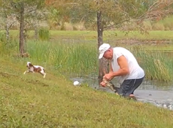 رجل أمريكي يصارع تمساحا ويجبره على فتح فكيه لإنقاذ كلبه! فيديو صورة رقم 8