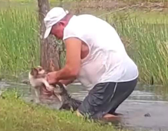 رجل أمريكي يصارع تمساحا ويجبره على فتح فكيه لإنقاذ كلبه! فيديو صورة رقم 9