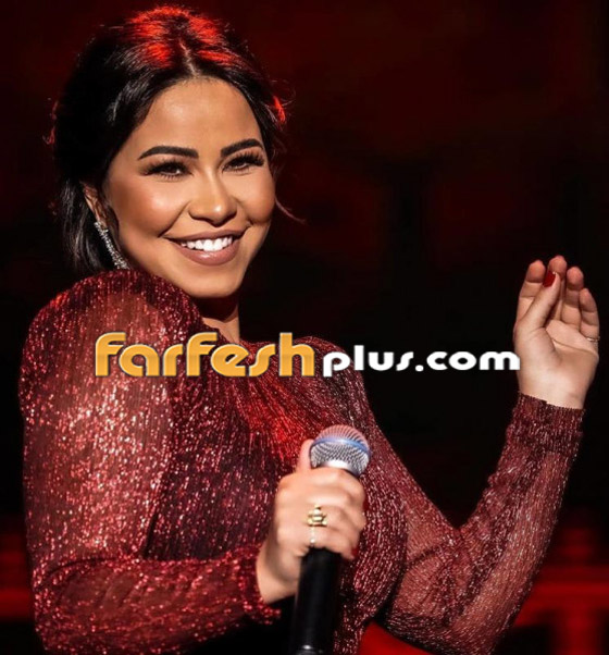 مقالب رامز وعمليات تجميل وحب جديد.. شيرين تبوح بأسرارها صورة رقم 10