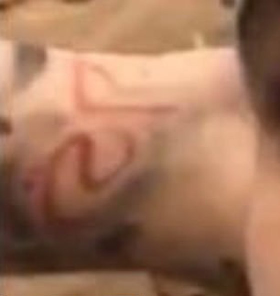 زين مالك يحتفل بطفلته من جيجي حديد بوشم جديد باللغة العربية صورة رقم 5