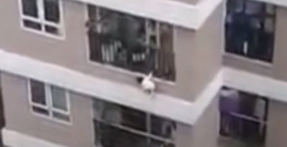 فيديو لـ”بطل خارق” يمسك بطفلة سقطت من الطابق الـ12! أنقذها بطريقة مبهرة حبست الأنفاس صورة رقم 1