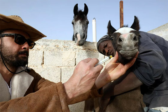 أبرز صور الأسبوع: إليكم أهم الأحداث المصورة في مختلف أنحاء العالم صورة رقم 26