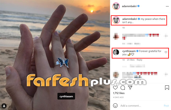 فيديو: الفنان الفلسطيني آدم بكري يقدم خاتم الخطوبة للممثلة اللبنانية سينتيا صموئيل وتعلق: معك إلى الأبد صورة رقم 27