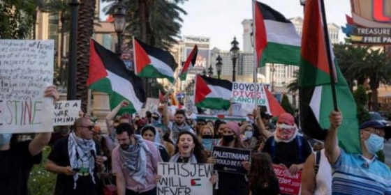 600 موسيقي عالمي يقررون مقاطعة إسرائيل والتضامن مع فلسطين صورة رقم 4