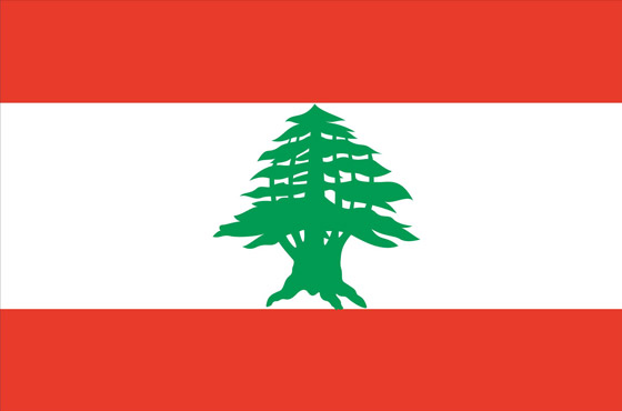 إليكم أسباب اختيار ألوان أعلام الدول العربية، ودلالة رموزها وتاريخها صورة رقم 1 إليكم أسباب اختيار ألوان أعلام الدول العربية، ودلالة رموزها وتاريخها صورة رقم 1