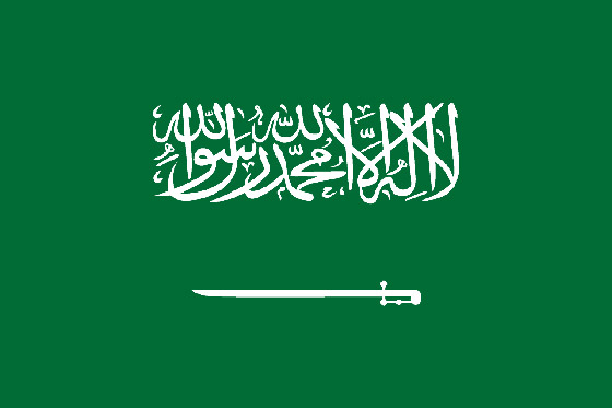 إليكم أسباب اختيار ألوان أعلام الدول العربية، ودلالة رموزها وتاريخها صورة رقم 4 إليكم أسباب اختيار ألوان أعلام الدول العربية، ودلالة رموزها وتاريخها صورة رقم 4