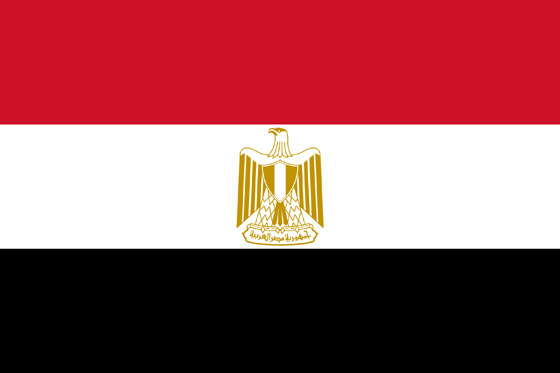 إليكم أسباب اختيار ألوان أعلام الدول العربية، ودلالة رموزها وتاريخها صورة رقم 6 إليكم أسباب اختيار ألوان أعلام الدول العربية، ودلالة رموزها وتاريخها صورة رقم 6