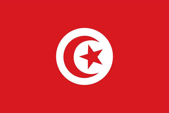 إليكم أسباب اختيار ألوان أعلام الدول العربية، ودلالة رموزها وتاريخها صورة رقم 11 إليكم أسباب اختيار ألوان أعلام الدول العربية، ودلالة رموزها وتاريخها صورة رقم 11
