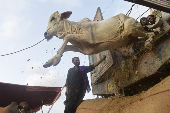 أبرز صور الأسبوع: إليكم أهم الأحداث المصورة من مختلف زوايا العالم صورة رقم 9