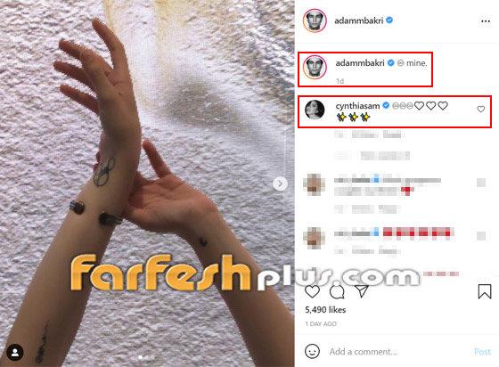 فيديو: الفنان الفلسطيني آدم بكري يقدم خاتم الخطوبة للممثلة اللبنانية سينتيا صموئيل وتعلق: معك إلى الأبد صورة رقم 14