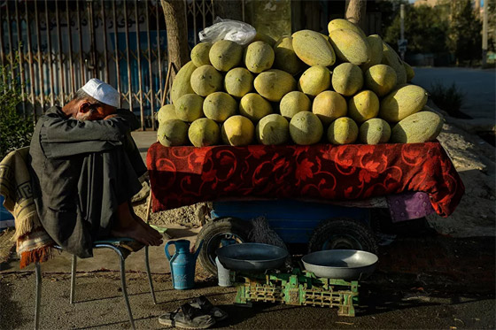 أبرز صور الأسبوع: إليكم أهم الأحداث المصورة من مختلف بقاع الأرض صورة رقم 20