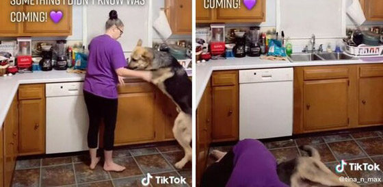 بالفيديو: كلب يتنبأ بتعرض سيدة لنوبة صرع ويحاول تحذيرها ويساعدها! صورة رقم 5