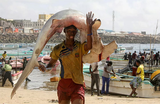 إليكم نبذة مصورة لأهم أحداث الأسبوع من مختلف أنحاء العالم صورة رقم 27