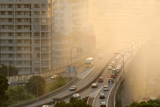 تعرفوا إلى أكثر 10 دول تلوثا في العالم.. بينها دولتان عربيتان صورة رقم 8