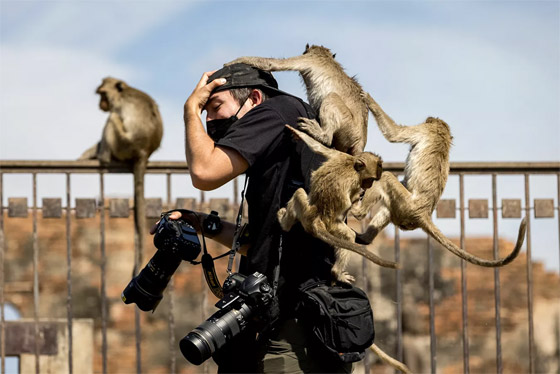 إليكم نبذة مصورة لأهم أحداث الأسبوع من مختلف أنحاء العالم صورة رقم 13