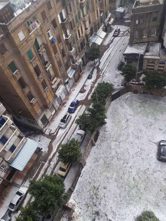 جمال مصر بكل طوائفها.. راهبات مدرسة في الإسكندرية يلعبن بالثلوج عقب تساقطها (فيديو وصور) صورة رقم 12