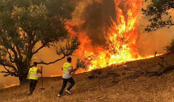 إعصار نادر وحرائق مدمرة.. أسوأ كوارث طبيعية ضربت العالم في 2021 صورة رقم 9