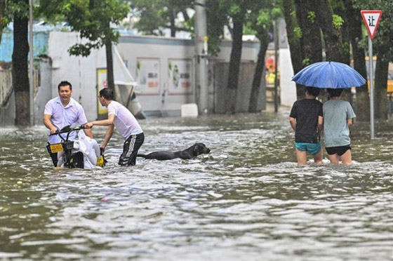 فيضانات كارثية تجتاح الصين.. قتلى بالمئات وخسائر بالمليارات صورة رقم 4