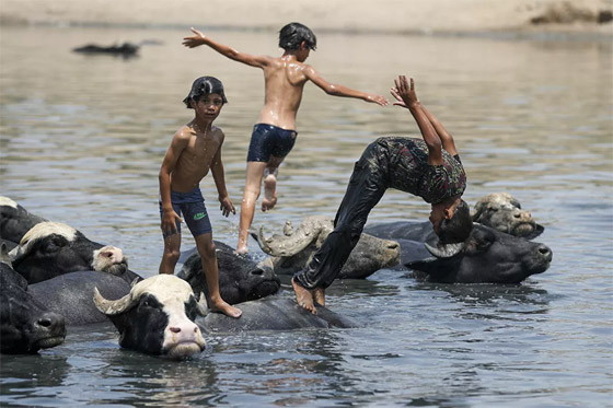 أبرز صور الأسبوع: إليكم أهم الأحداث المصورة من مختلف زوايا العالم صورة رقم 15