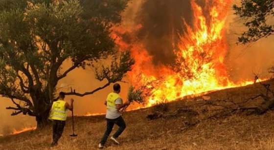 حرائق مهولة بالقدس.. إسرائيل فشلت بالسيطرة عليها وتطلب المساعدة الدولية صورة رقم 7