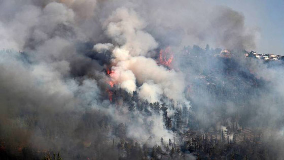 حرائق مهولة بالقدس.. إسرائيل فشلت بالسيطرة عليها وتطلب المساعدة الدولية صورة رقم 10