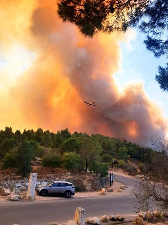 حرائق مهولة بالقدس.. إسرائيل فشلت بالسيطرة عليها وتطلب المساعدة الدولية صورة رقم 14