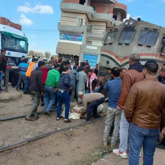 للمرة الثالثة خلال 4 أيام.. قتيل بتصادم قطار بعربة في مصر صورة رقم 1