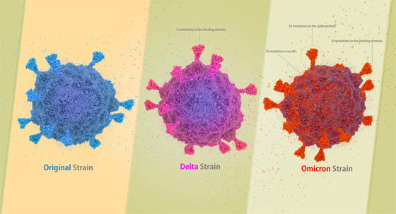 متحور أوميكرون الثاني.. هل يعيد كوارث كورونا؟.. مخاوف قوية منه! صورة رقم 5