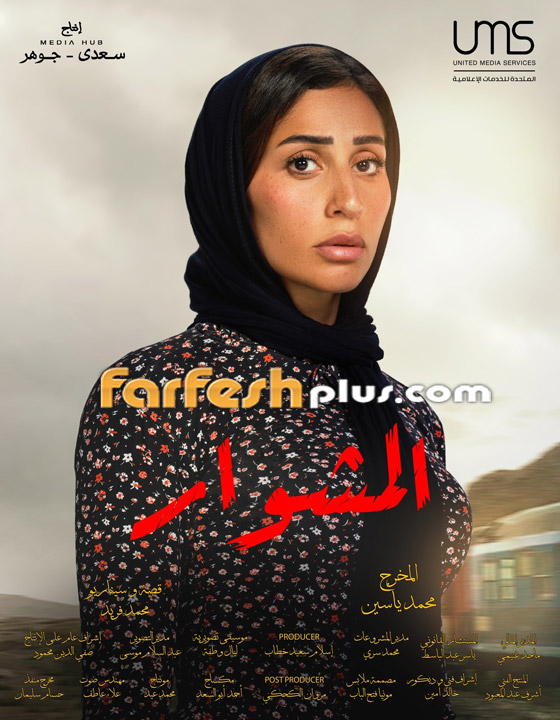 فيديو دينا الشربيني: بحب عمرو دياب جدا.. والخيانة مرفوضة صورة رقم 13