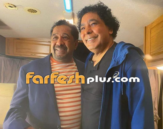 إليسا والشاب مامي يوقعان محمد منير والشاب خالد في ورطة! هل فعلا هناك سرقة؟ فيديو صورة رقم 12