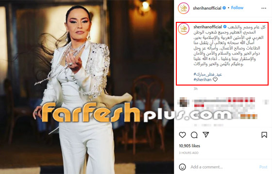 نجوم الفن يهنئون جمهورهم بمناسبة عيد الفطر المبارك صورة رقم 5
