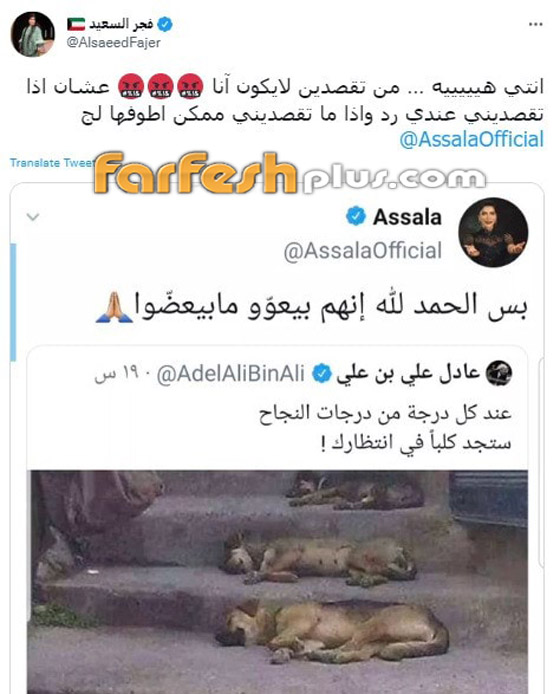 أصالة تصف منتقديها بالكلاب! مي العيدان شبهتها بـ
