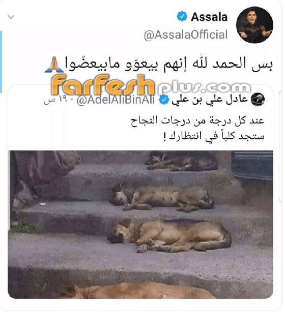 أصالة تصف منتقديها بالكلاب! مي العيدان شبهتها بـ