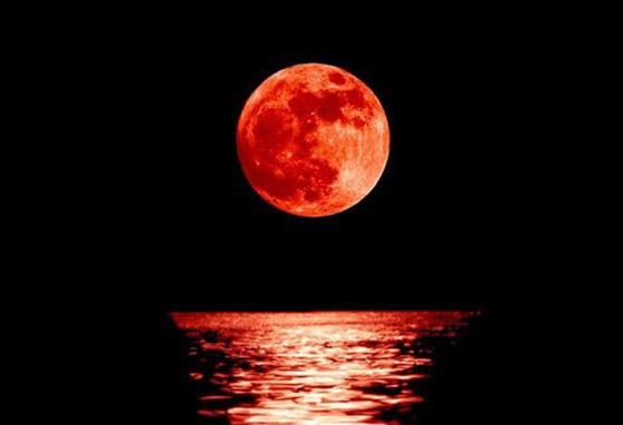 أول خسوف لعام 2022: السماء تتزين بظاهرة القمر الدموي ليلة الغد صورة رقم 4