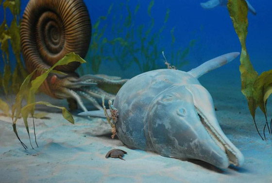 اكتشاف دلافين عمرها 20 مليون عام صورة رقم 4