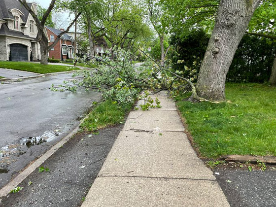 كندا.. 4 قتلى وانقطاع الكهرباء عن 900 ألف منزل جراء العواصف صورة رقم 1