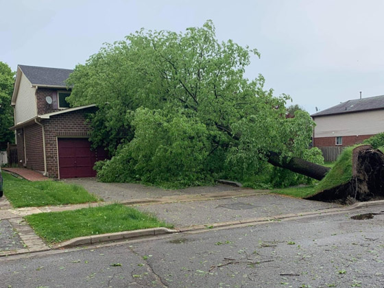 كندا.. 4 قتلى وانقطاع الكهرباء عن 900 ألف منزل جراء العواصف صورة رقم 9
