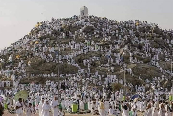 بالفيديو والصور.. الحجاج يتوافدون على عرفات لأداء ركن الحج الأعظم صورة رقم 10