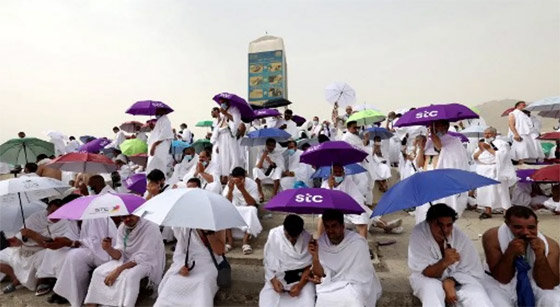 بالفيديو والصور.. الحجاج يتوافدون على عرفات لأداء ركن الحج الأعظم صورة رقم 2