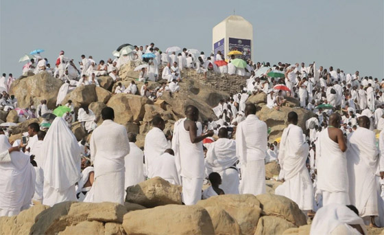 بالفيديو والصور.. الحجاج يتوافدون على عرفات لأداء ركن الحج الأعظم صورة رقم 5