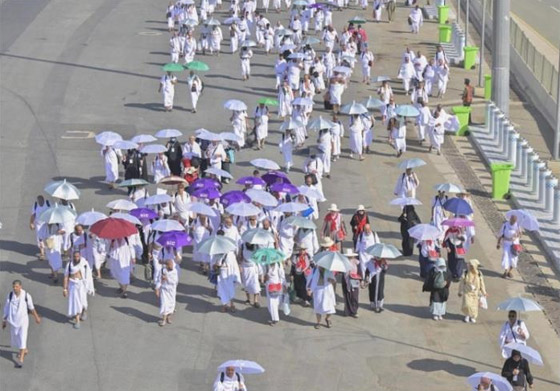 بالفيديو والصور.. الحجاج يتوافدون على عرفات لأداء ركن الحج الأعظم صورة رقم 6