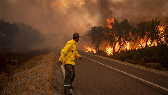 صور :حرائق غابات تجتاح شمالي المغرب وتتسبب في مقتل شخص وإجلاء 1300 أسرة صورة رقم 1