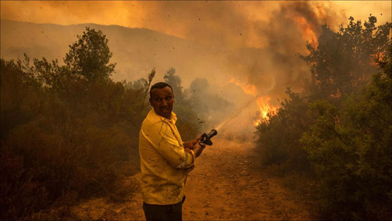 صور :حرائق غابات تجتاح شمالي المغرب وتتسبب في مقتل شخص وإجلاء 1300 أسرة صورة رقم 3