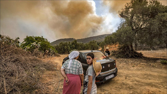 صور :حرائق غابات تجتاح شمالي المغرب وتتسبب في مقتل شخص وإجلاء 1300 أسرة صورة رقم 5